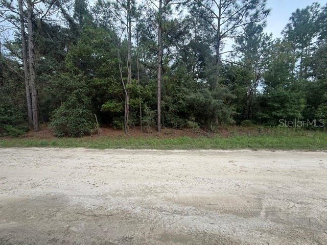 0 SW 130 TERRACE, DUNNELLON, FL — photo 3 of 6