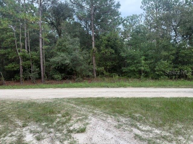 0 SW 130 TERRACE, DUNNELLON, FL — photo 4 of 6