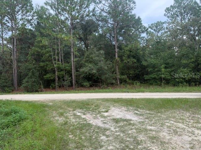 0 SW 130 TERRACE, DUNNELLON, FL — photo 5 of 6