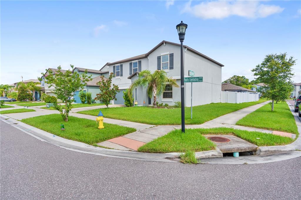 A two-story suburban house with a gray exterior, a palm tree, and a street sign — 7420 PEARLY EVERLASTING AVENUE, TAMPA, FL
