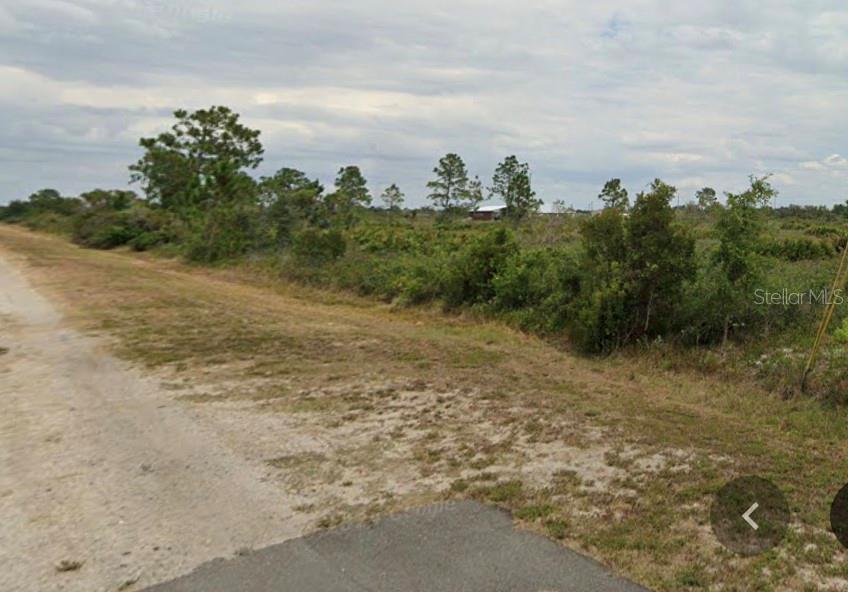 2842 W BUTKUS ROAD, AVON PARK, FL — photo 3 of 3