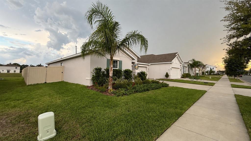 A single-story house with a palm tree, tan fence, and sidewalk under a cloudy sky — 33647 SKY BLOSSOM CIRCLE, LEESBURG, FL
