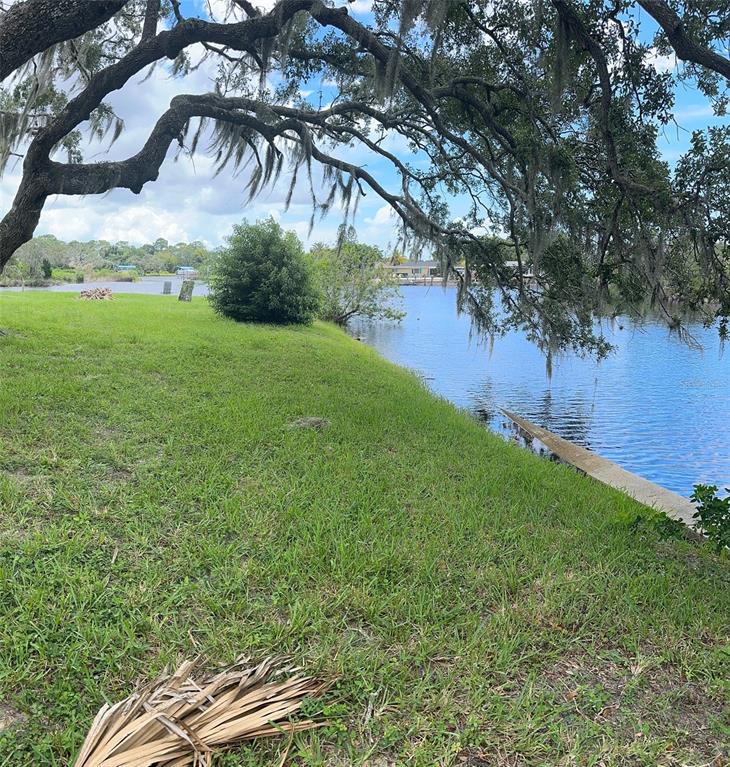 A grassy backyard slopes down toward a canal under the shade of a large tree — 1238 FLOTILLA DRIVE, HOLIDAY, FL