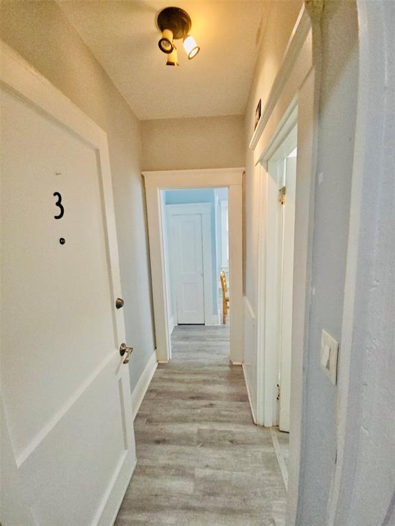 A hallway with light wood-look flooring leads to a doorway with a white door — 2301 N JEFFERSON STREET Apt 3, TAMPA, FL