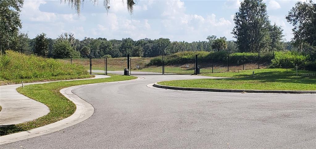 A paved road leads to a gated entrance surrounded by green grass and trees — 15311 FISHHAWK HEIGHTS RUN, LITHIA, FL
