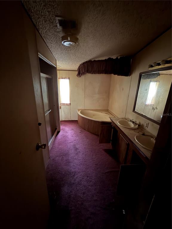 A bathroom with purple carpeting, a corner soaking tub, and a double vanity with mirrors — 45901 MICHIGAN ROAD, ALTOONA, FL