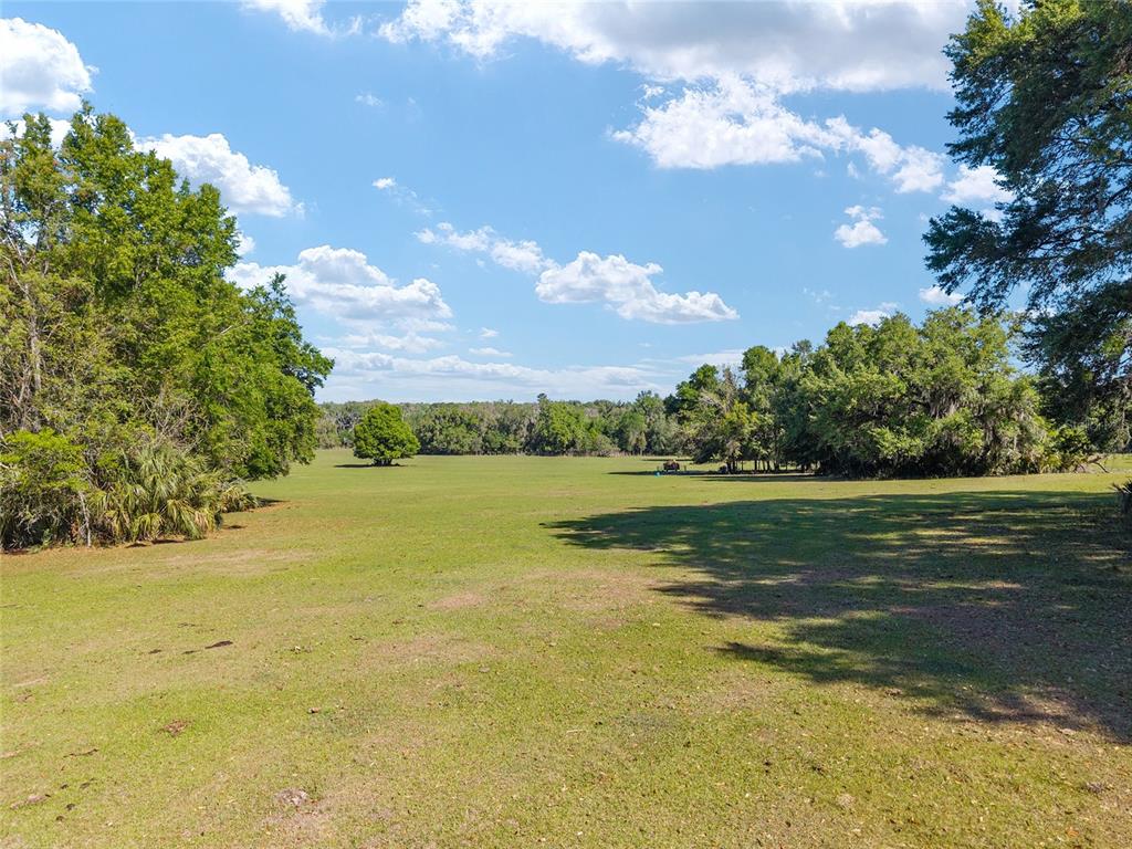 A wide, grassy field is bordered by dense trees under a blue, cloudy sky — 6405 NW 165TH STREET, REDDICK, FL