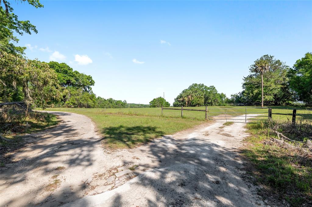 A dirt path forks toward a fenced pasture with trees under a clear blue sky — 6405 NW 165TH STREET, REDDICK, FL