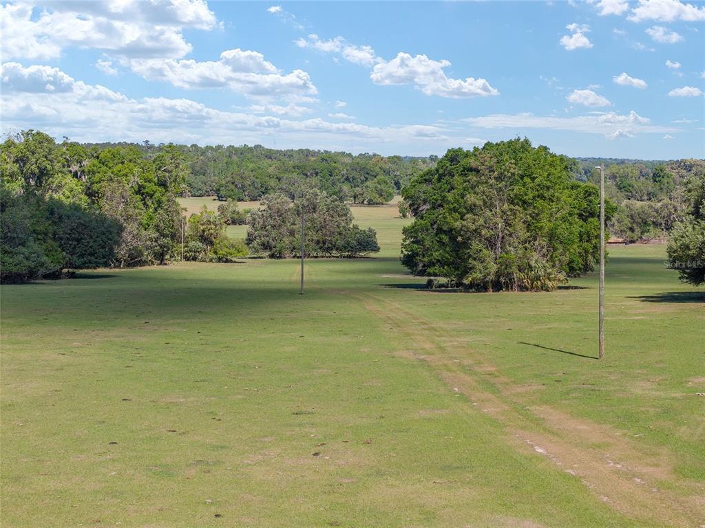 A wide, grassy field features a dirt path and scattered trees under a blue sky — 6405 NW 165TH STREET, REDDICK, FL