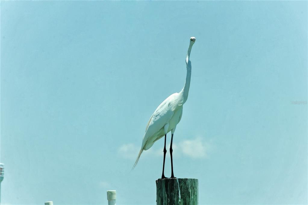 A view of a calm turquoise bay with a long pier and docked sailboats — 6040 BOCA GRANDE CAUSEWAY UNIT 5, BOCA GRANDE, FL