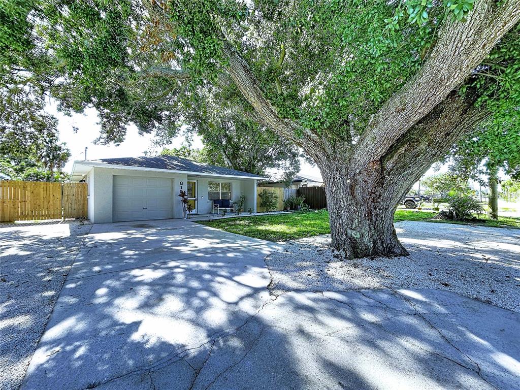 A single-story house with a concrete driveway and a large tree in the front yard — 815 35TH STREET W, BRADENTON, FL