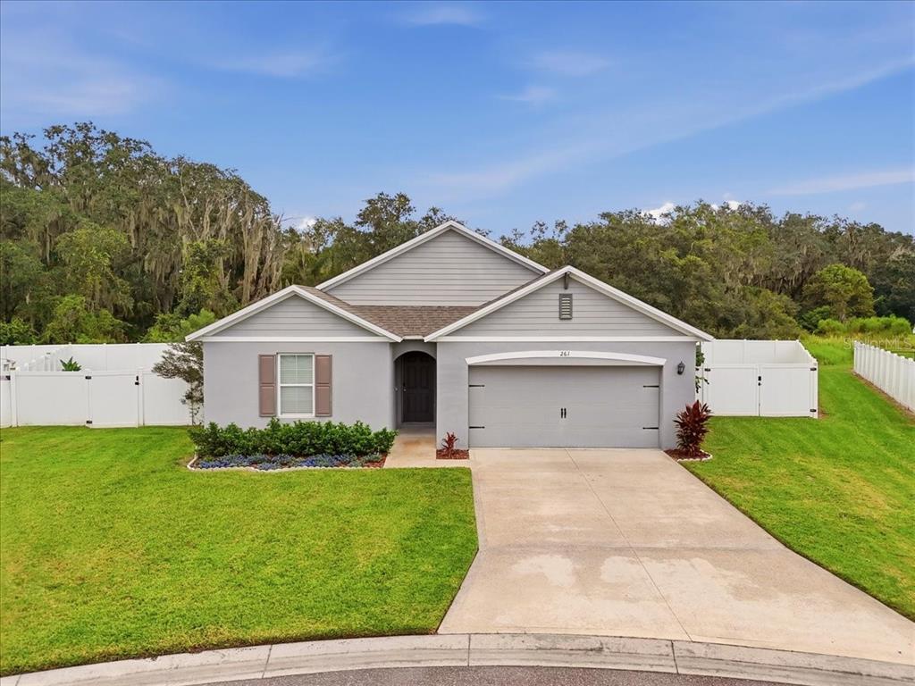 261 ST THOMAS DRIVE, MULBERRY, FL — photo 3 of 38