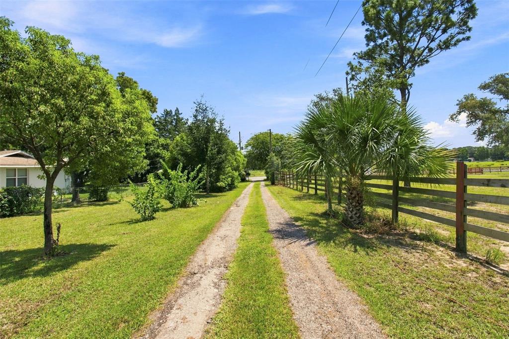 A gravel driveway leads past a house and a wooden fence toward a tree-lined horizon — 8279 SUNSHINE GROVE ROAD, BROOKSVILLE, FL