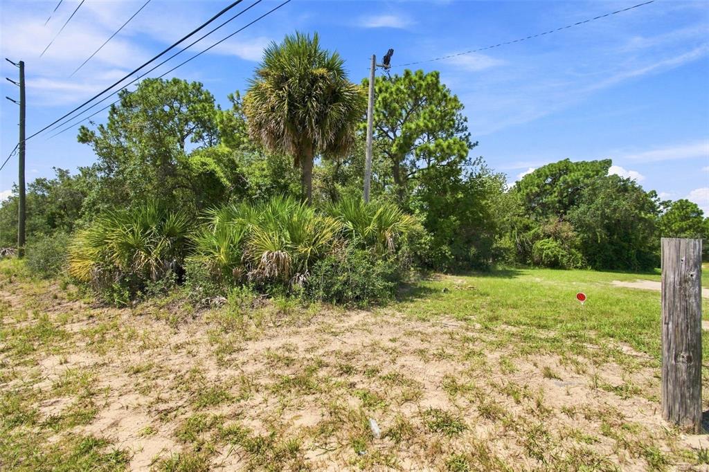 A vacant, sandy lot features a cluster of palm trees and native Florida vegetation — 8279 SUNSHINE GROVE ROAD, BROOKSVILLE, FL