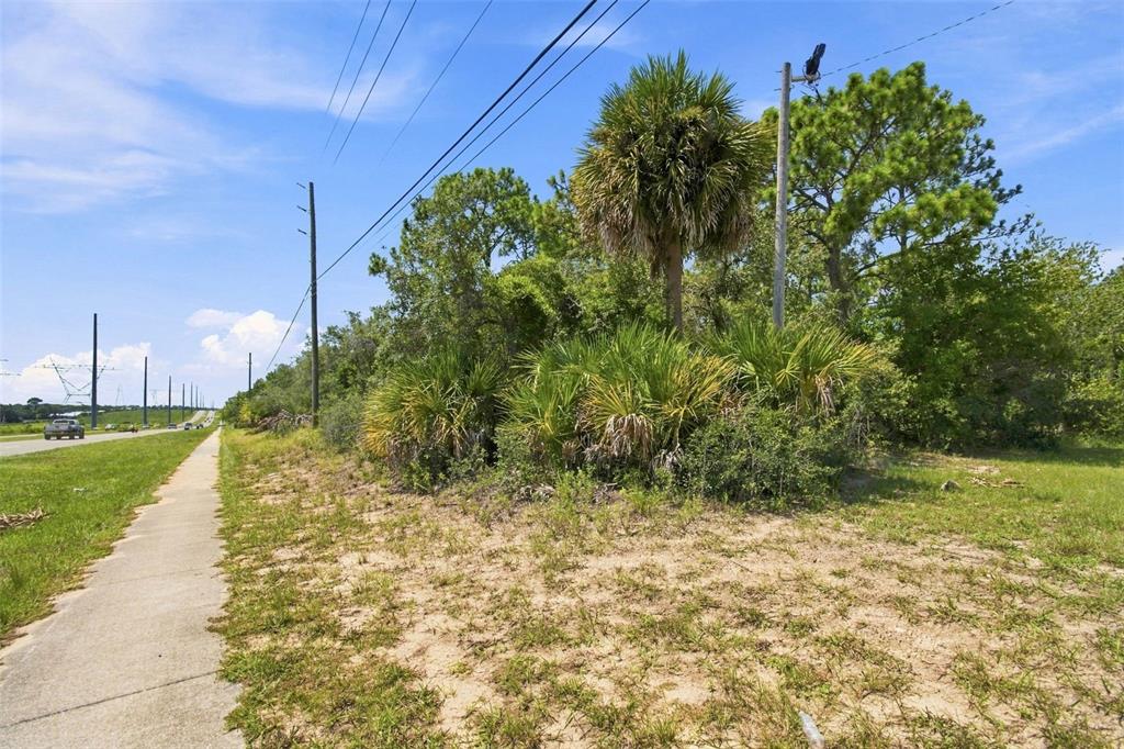 A sidewalk runs alongside a grassy lot with palm trees and utility poles under a sky — 8279 SUNSHINE GROVE ROAD, BROOKSVILLE, FL