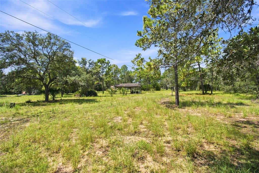 A grassy, sunlit lot features scattered trees and a small, open-sided wooden structure in the distance — 8279 SUNSHINE GROVE ROAD, BROOKSVILLE, FL