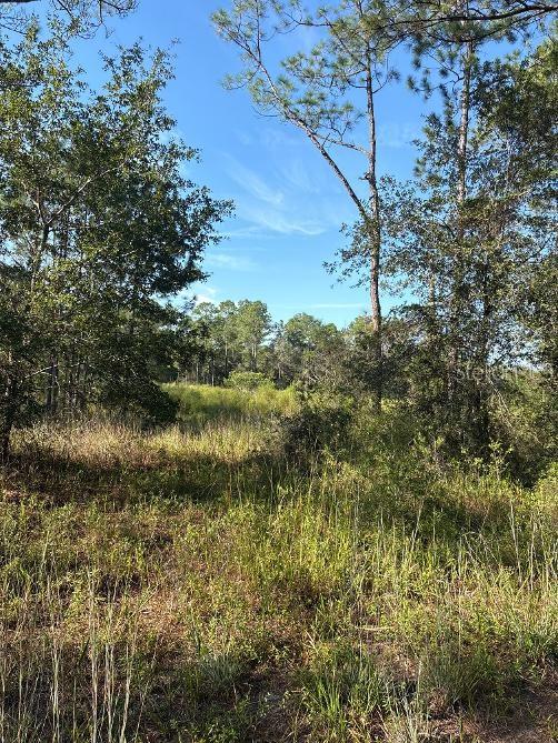 123 RD LANE, BRONSON, FL — photo 3 of 5