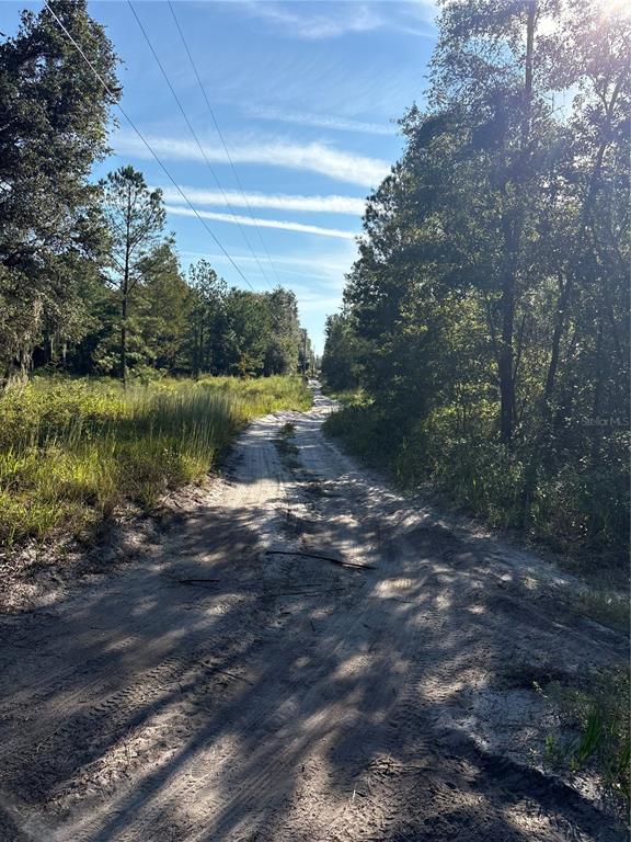 123 RD LANE, BRONSON, FL — photo 4 of 5