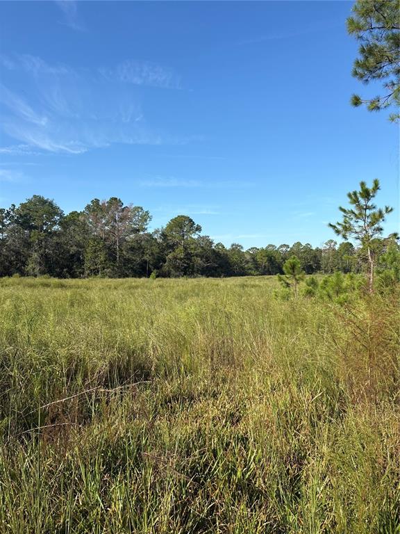 123 RD LANE, BRONSON, FL — photo 5 of 5