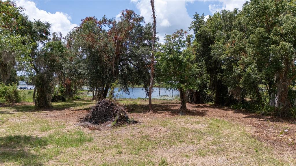 A grassy lot with a pile of brush leads to a view of a lake — 0 STATE ROAD 52, LAND O LAKES, FL