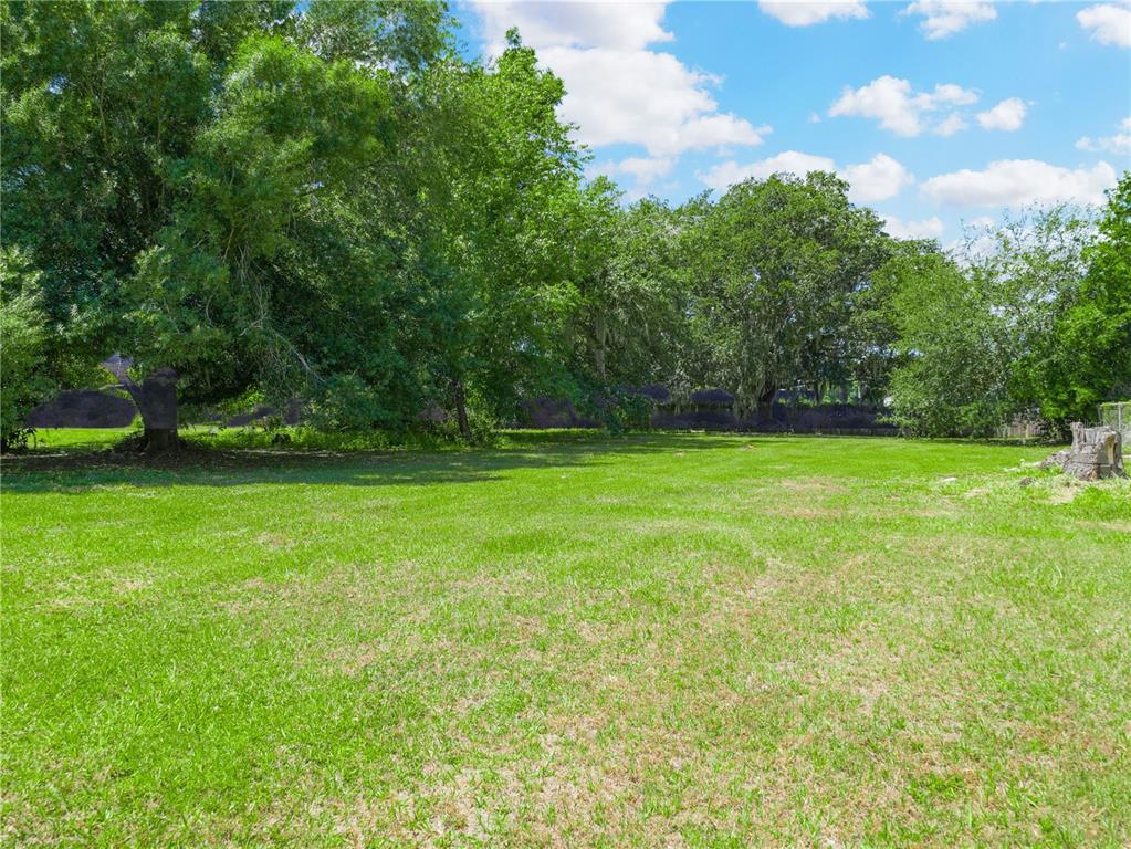 A large, grassy backyard features mature trees and a stump under a blue sky — LANIER AVENUE, FORT MEADE, FL