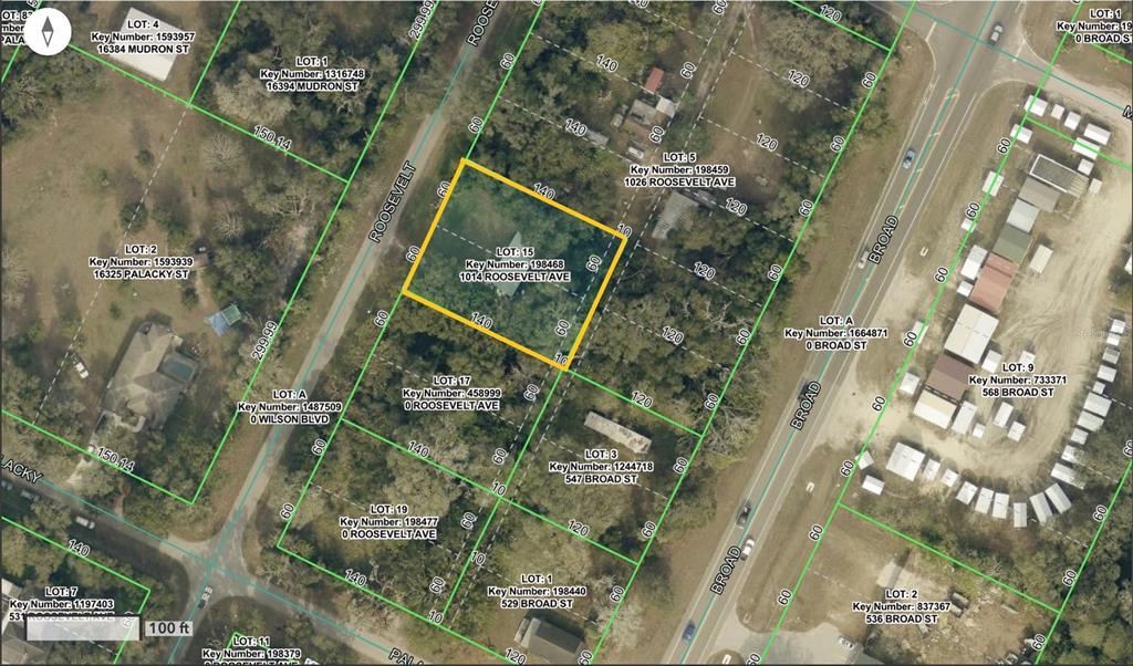 This is a satellite map showing property lot lines and parcel information for a residential area — 1014 ROOSEVELT AVENUE, BROOKSVILLE, FL