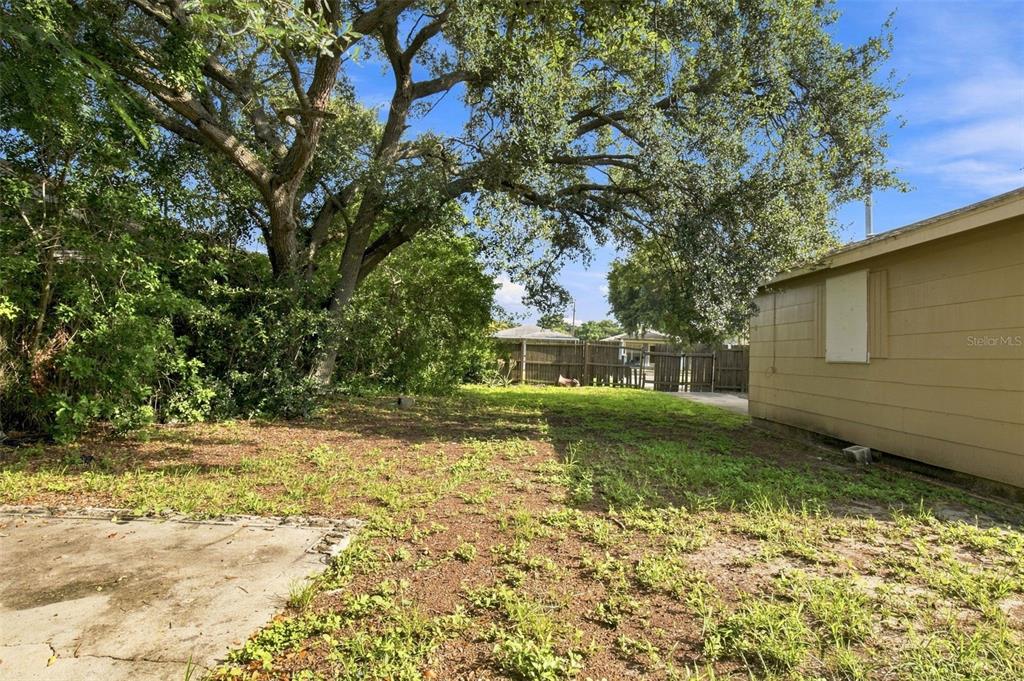 A grassy backyard area features a large tree, a concrete slab, and a tan wall — 2848 EMERSON AVENUE S, ST PETERSBURG, FL