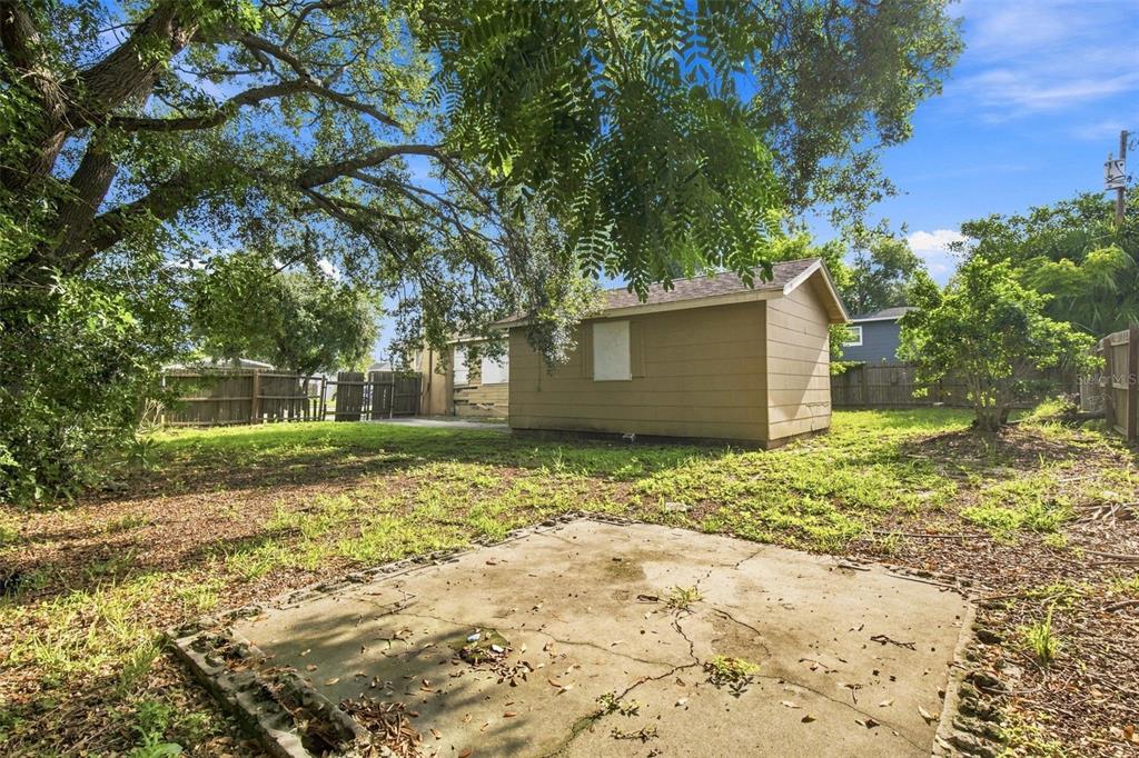 A backyard features a small tan shed, a cracked concrete slab, and mature trees — 2848 EMERSON AVENUE S, ST PETERSBURG, FL