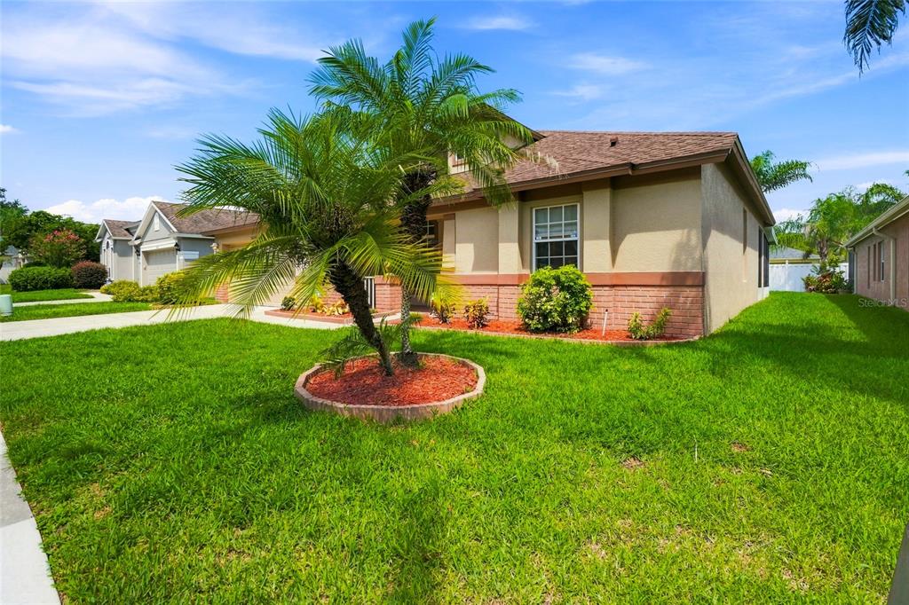 An aerial view shows a suburban neighborhood with single-family homes, driveways, and green lawns — 30501 IVERSON DRIVE, WESLEY CHAPEL, FL