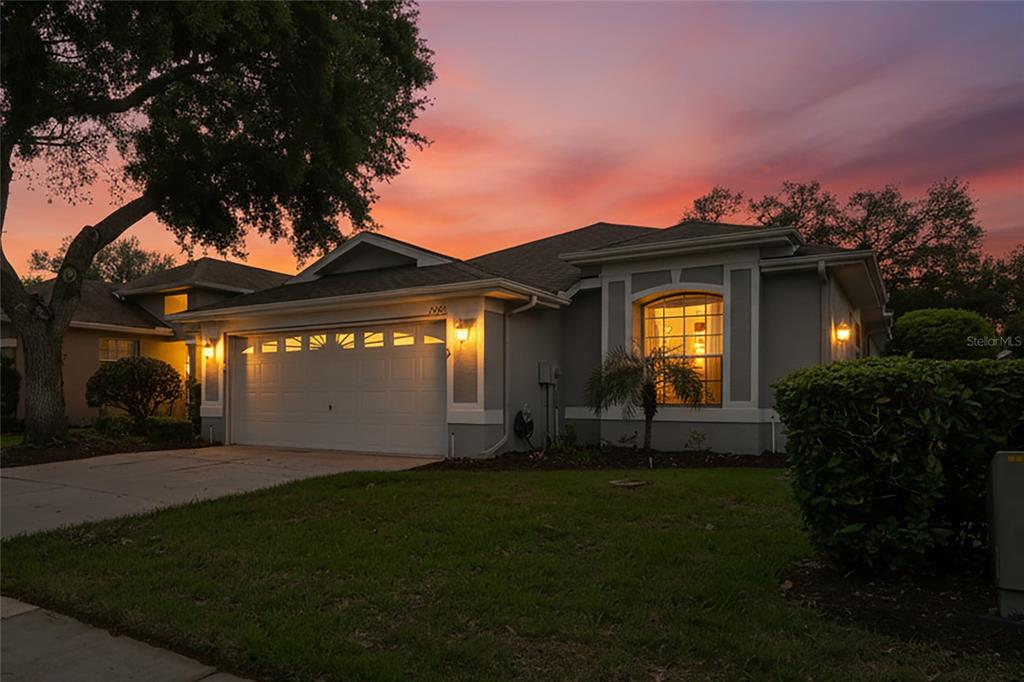 14466 TAMARIND LOOP