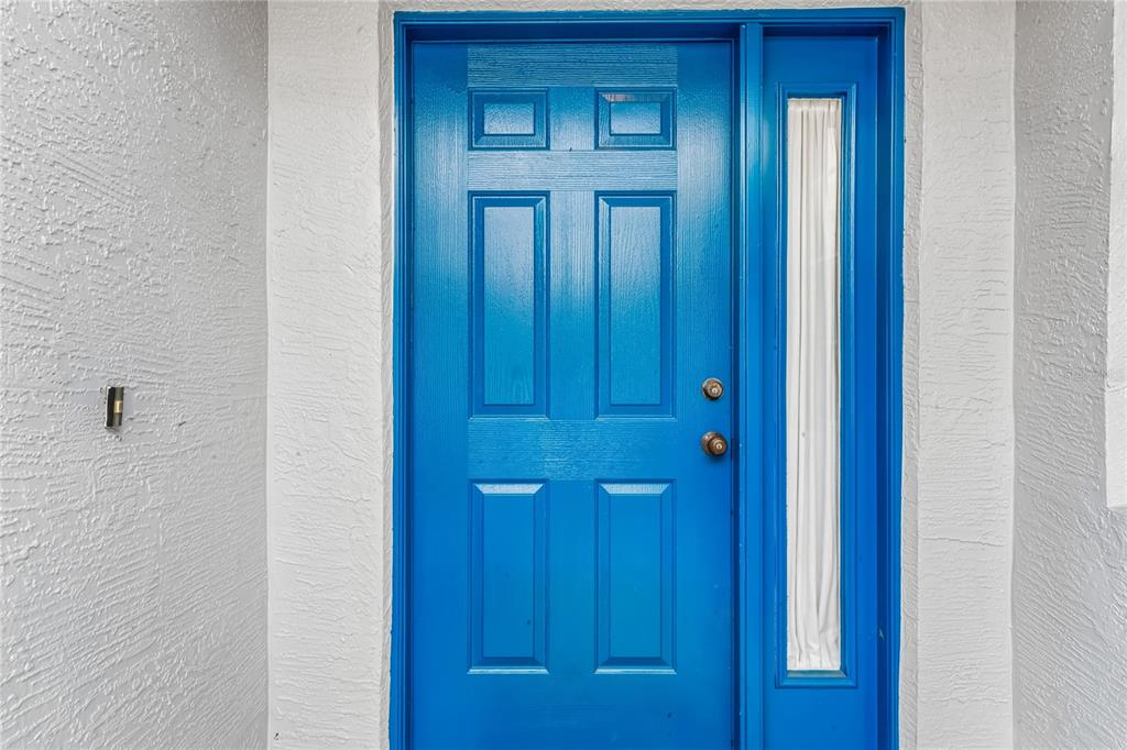 A bright blue front door with a side window is set against a white wall — 14466 TAMARIND LOOP, SPRING HILL, FL