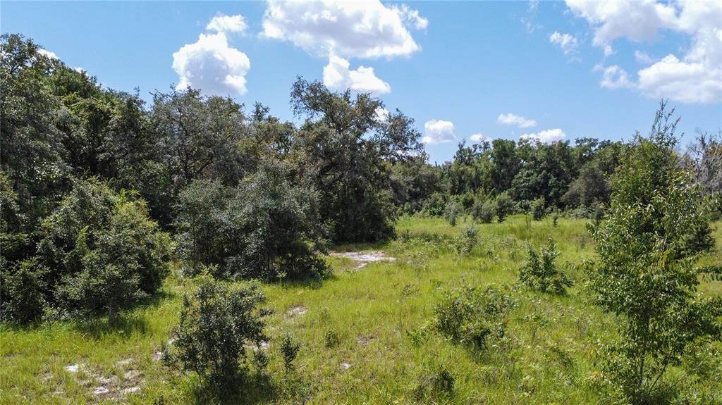 A grassy, partially wooded lot with scattered trees and shrubs under a blue sky — 1156 HIGHLAND ACRES DRIVE, APOPKA, FL