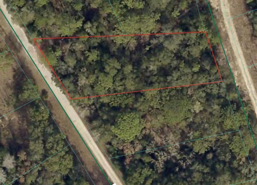 SE 105TH TERRACE, OCKLAWAHA, FL — photo 2 of 2
