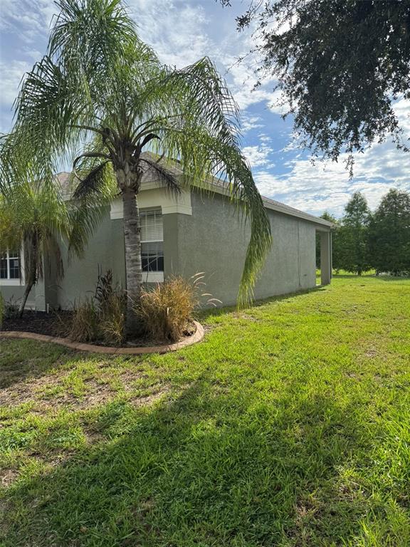 The side exterior of a house features a palm tree, landscaping, and a grassy yard — 5035 ALDERBROOK, LAND O LAKES, FL