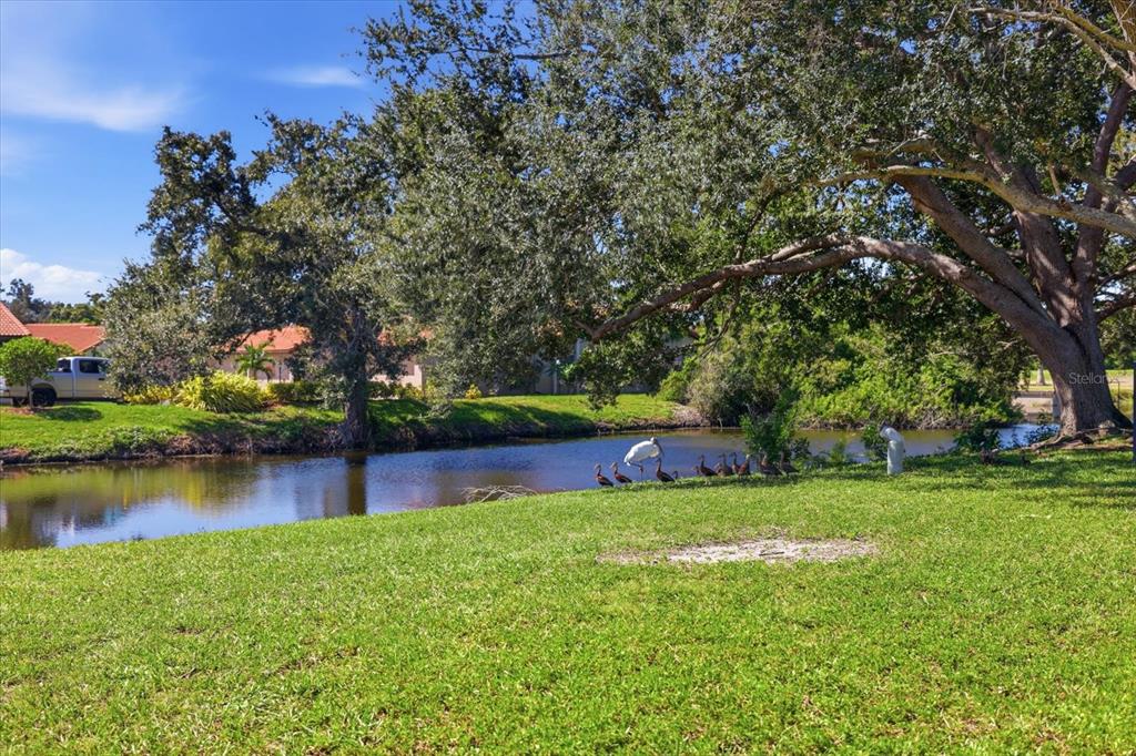 832 S GONDOLA DRIVE, VENICE, FL — photo 2 of 47