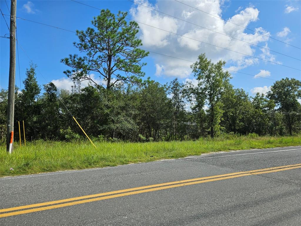 A paved road runs in front of a wooded lot with a utility pole — 0000 NE 60TH STREET, BRONSON, FL