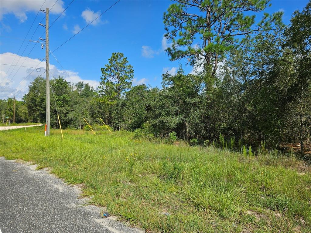 A grassy, undeveloped lot with trees and a utility pole along a paved road — 0000 NE 60TH STREET, BRONSON, FL