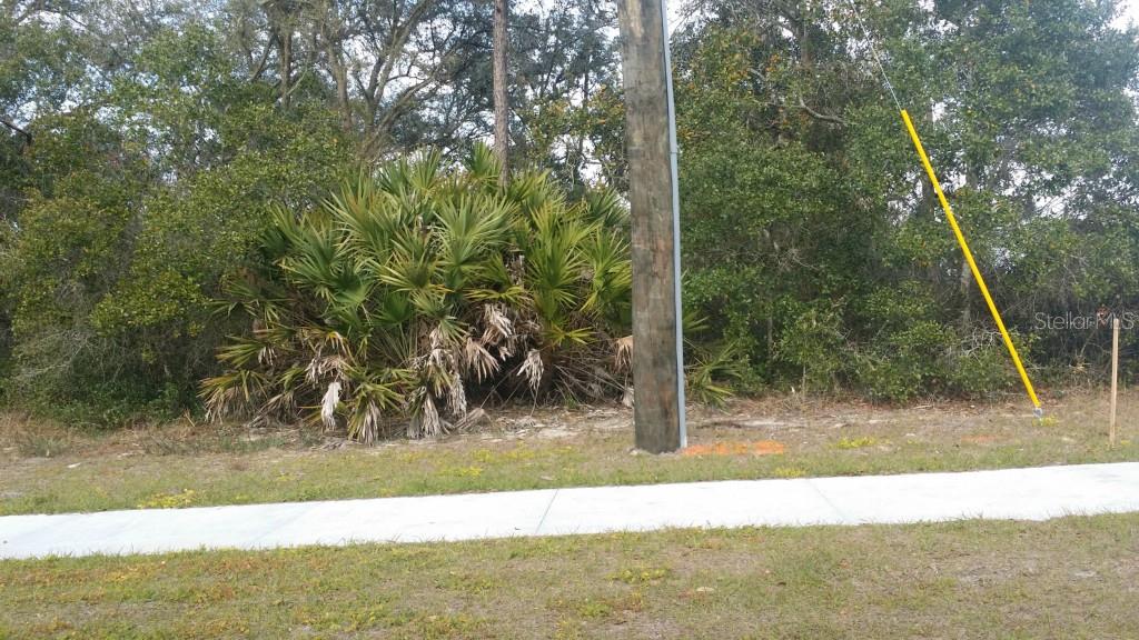 A utility pole stands near a large palmetto bush and a sidewalk in a wooded area — 3710 SANDLOR DRIVE, DELTONA, FL
