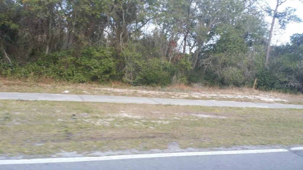 A vacant, grassy lot with a sidewalk sits in front of a dense wooded area — 3710 SANDLOR DRIVE, DELTONA, FL