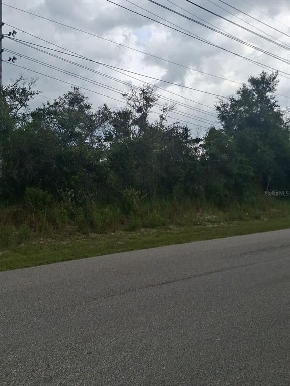 A paved road runs alongside a dense, wooded lot under a cloudy sky with power lines — 9TH AVENUE, DELAND, FL