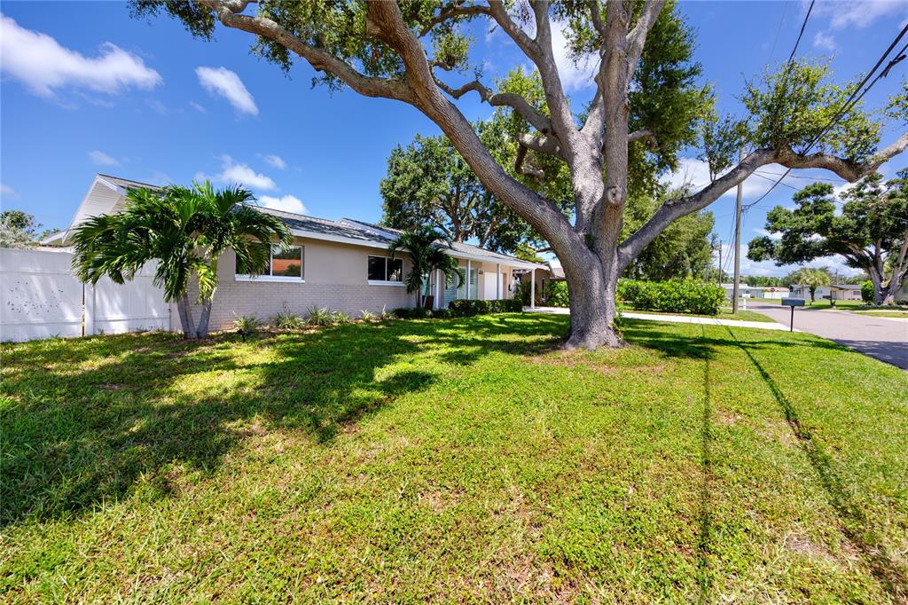 A single-story house with a large tree in the front yard and a white fence — 1744 HARBOR CIRCLE E, LARGO, FL
