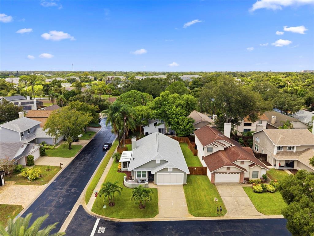 An aerial view shows a suburban street with single-family homes, green lawns, and mature trees — 2234 SPRINGFLOWER DR., CLEARWATER, FL