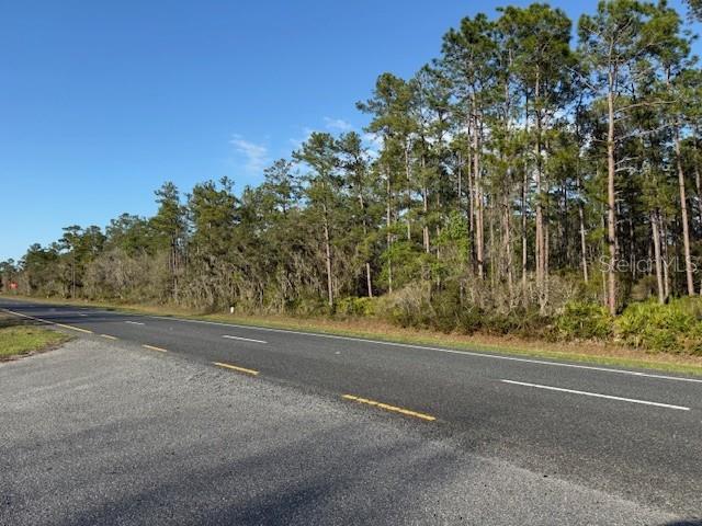 A paved road runs alongside a dense forest of tall pine trees under a clear sky — TBD US 19, INGLIS, FL