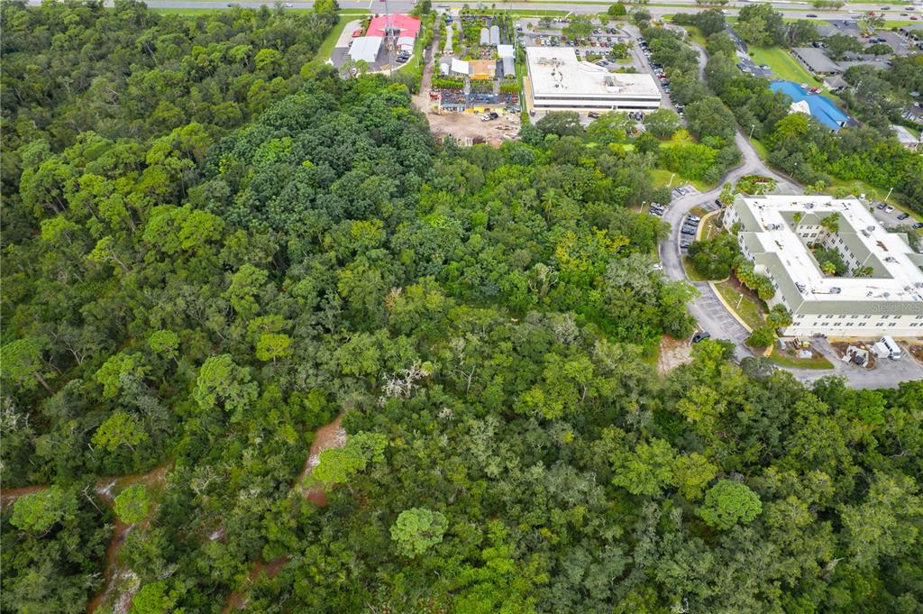3141 N MCMULLEN BOOTH ROAD, CLEARWATER, FL — photo 4 of 12