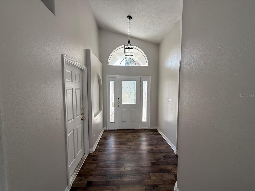 An entryway features wood-look flooring, a vaulted ceiling, a pendant light, and a front door — 16049 MAGNOLIA HILL STREET, CLERMONT, FL