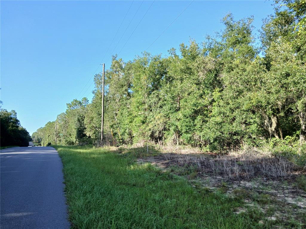 A paved road runs alongside a wooded lot with a utility pole under a blue sky — 10762 N ACADEMY DRIVE, CITRUS SPRINGS, FL