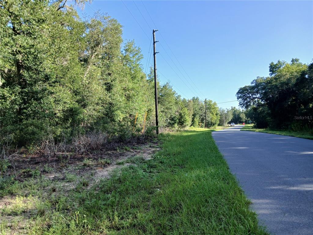 A paved road runs alongside a wooded lot with a utility pole under a blue sky — 10762 N ACADEMY DRIVE, CITRUS SPRINGS, FL