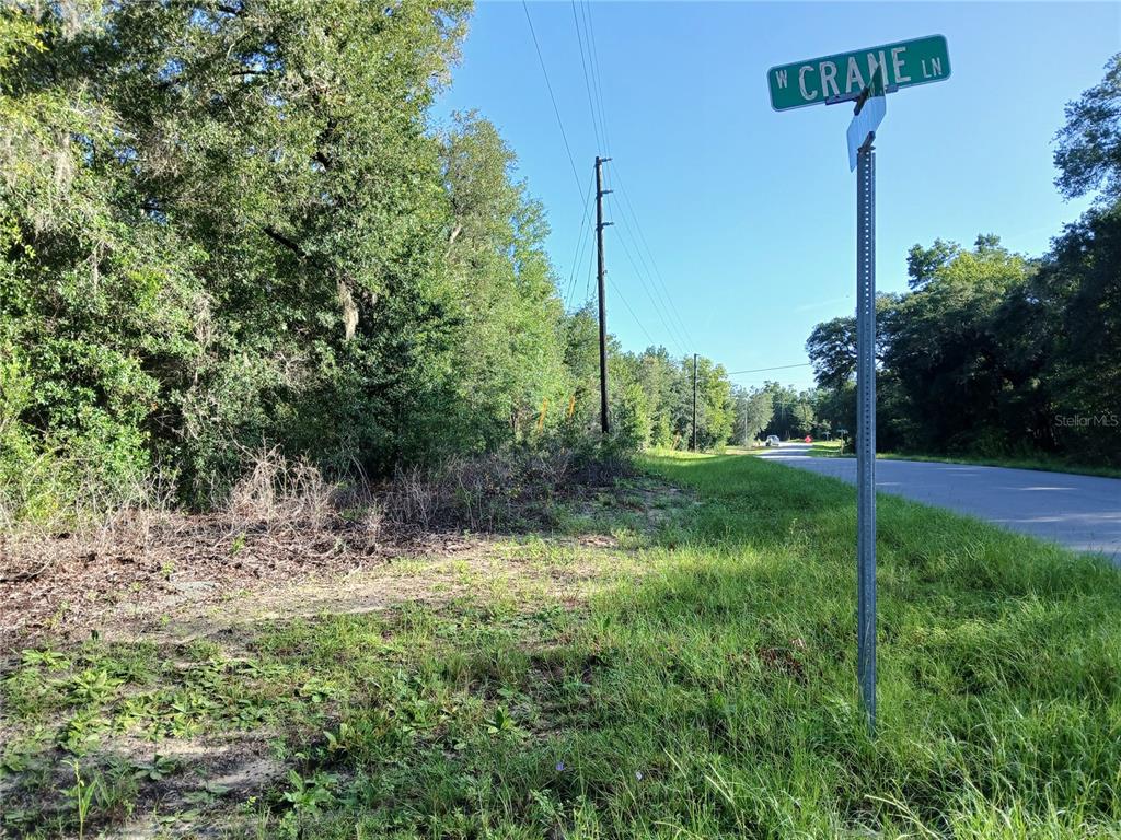 A street sign for W Crane Ln stands beside a grassy lot and a paved road — 10762 N ACADEMY DRIVE, CITRUS SPRINGS, FL