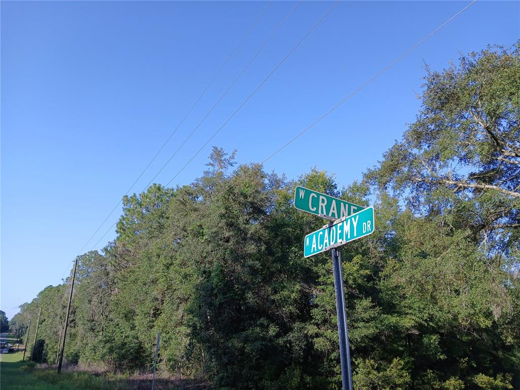 A street sign for W Crane and Academy Dr stands before a dense line of trees — 10762 N ACADEMY DRIVE, CITRUS SPRINGS, FL