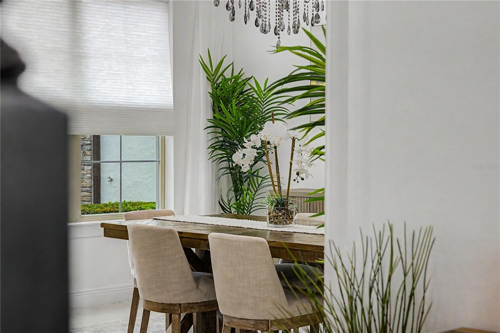 A dining room features a wooden table, beige upholstered chairs, and a crystal chandelier — 11768 HAMPSTEAD STREET, WINDERMERE, FL